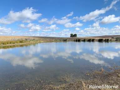 Farm Sold - NSW - Barwang - 2594 - Versatile  & Productive Country!  (Image 2)