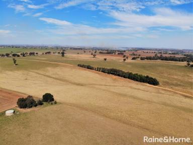 Farm Sold - NSW - Barwang - 2594 - Versatile  & Productive Country!  (Image 2)