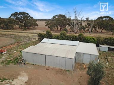 Farm Sold - VIC - Mooroopna North - 3629 - A Great Lifestyle Property Close to Town - 6.205 hectares  (Image 2)