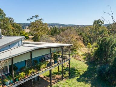 Farm Sold - NSW - Young - 2594 - Home Amongst The Gum Trees  (Image 2)