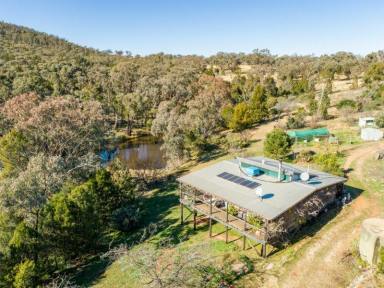 Farm Sold - NSW - Young - 2594 - Home Amongst The Gum Trees  (Image 2)