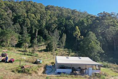 Farm Sold - NSW - Kyogle - 2474 - EAGLES NEST  (Image 2)