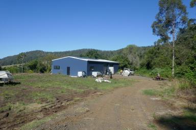 Farm Sold - NSW - Kyogle - 2474 - EAGLES NEST  (Image 2)