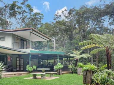 Farm Sold - QLD - Lake Eacham - 4884 - Weekend Getaway  (Image 2)