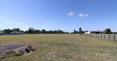 Farm Sold - QLD - Dalby - 4405 - ACREAGE LIVING AT ITS BEST!  (Image 2)