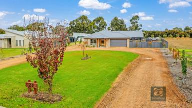 Farm Sold - NSW - Moama - 2731 - Fine Living with Extensive Shedding & Space  (Image 2)