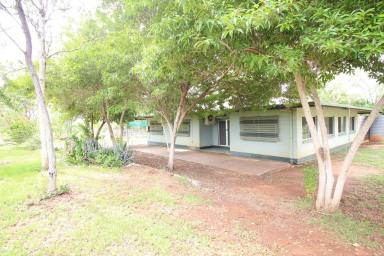 Farm Sold - QLD - Breddan - 4820 - 80 ACRES ON 2 TITLES WITH A 6 BEDROOM + OFFICE BLOCK HOME  (Image 2)