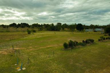 Farm Sold - QLD - Toll - 4820 - VACANT LAND IN MIDDLE OF UP AND COMING AREA.  (Image 2)