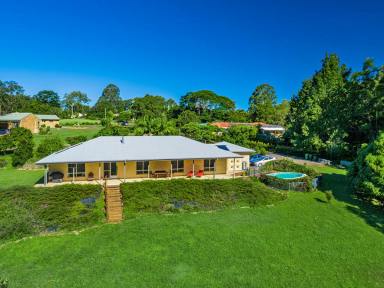 Farm Sold - NSW - Modanville - 2480 - Private and secluded 14 acres of Rainforest and Valley views  (Image 2)