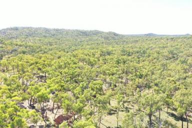 Farm Sold - QLD - Einasleigh - 4871 - Well located, reliable, stocked grazing property  (Image 2)