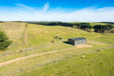 Farm Sold - VIC - Port Fairy - 3284 - The Block With The Lot!  (Image 2)