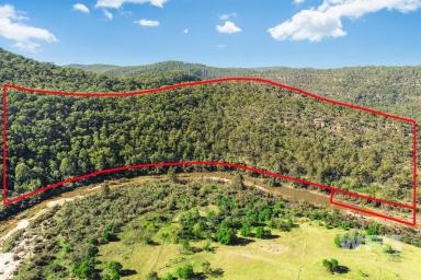 Farm Sold - NSW - St Albans - 2775 - 40 Acres, Great Views, Close To St Albans Village.  (Image 2)