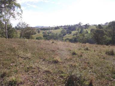 Farm Sold - QLD - Veteran - 4570 - COME FOR THE VIEWS !!  (Image 2)