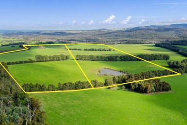 Farm Sold - VIC - Labertouche - 3816 - Prime Agricultural Land  - Expression of Interest campaign closing Wednesday 7th of July at 5pm.  (Image 2)