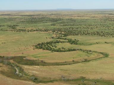 Farm Sold - QLD - Hughenden - 4821 - Outstanding opportunity to buy 1 property or all 4 properties  (Image 2)