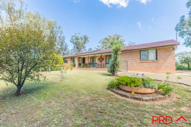 Farm Sold - NSW - Wallabadah - 2343 - Escape, Relax & Recharge  (Image 2)
