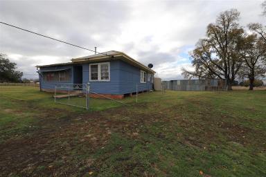 Farm Sold - NSW - Tumut - 2720 - Rare Rural Opportunity  (Image 2)