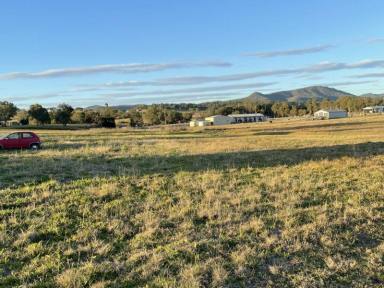 Farm Sold - QLD - Maryvale - 4370 - 1 Acre in God's country  (Image 2)