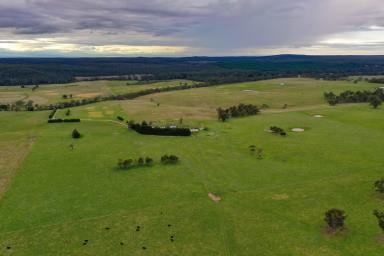 Farm For Sale - VIC - Willung - 3847 - GRAZING PROPERTY  (Image 2)