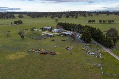 Farm For Sale - VIC - Willung - 3847 - GRAZING PROPERTY  (Image 2)