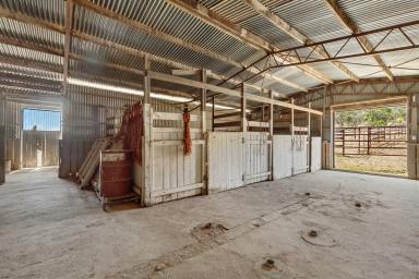 Farm Sold - VIC - Tallarook - 3659 - More than just a house... this is a Home  (Image 2)