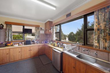 Farm Sold - TAS - Barrington - 7306 - Country life with potential income  (Image 2)