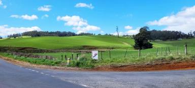 Farm Sold - TAS - Sheffield - 7306 - Prime Pastoral Property with Beautiful Views and Immense Potential - SOLD  (Image 2)