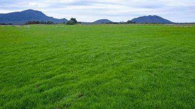Farm Sold - VIC - Victoria Valley - 3294 - Lifestyle opportunity/ Out paddock --- nestled in the Valley  (Image 2)