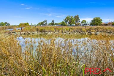 Farm Sold - NSW - Tamworth - 2340 - More Then Meets The Eye  (Image 2)