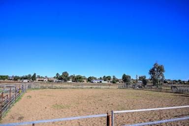 Farm Sold - NSW - Tamworth - 2340 - More Then Meets The Eye  (Image 2)