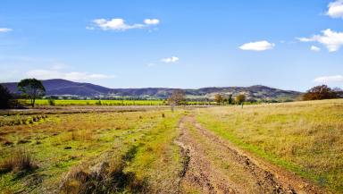 Farm Sold - VIC - Walwa - 3709 - ESCAPE THE HUSTLE AND BUSTLE WITH THIS UNIQUE OFFERING  (Image 2)