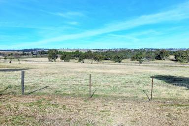 Farm Sold - NSW - Merriwa - 2329 - Great Lifestyle Acres!  (Image 2)