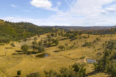 Farm Sold - NSW - Mudgee - 2850 - River Front Farm or Perfect Rural Getaway  (Image 2)