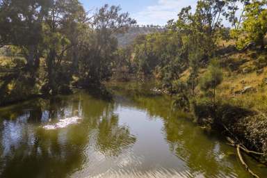 Farm Sold - NSW - Mudgee - 2850 - River Front Farm or Perfect Rural Getaway  (Image 2)