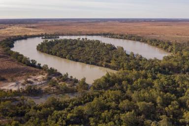 Farm Sold - NSW - Wentworth - 2648 - Magnificent Murray River Frontage with a Billabong Sanctuary  (Image 2)