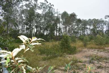 Farm Sold - QLD - Aramara - 4620 - Blank Canvas  (Image 2)