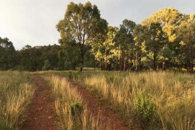 Farm Sold - NSW - Mudgee - 2850 - OASIS BY THE CREEK - BIDDING HAS STARTED!  (Image 2)