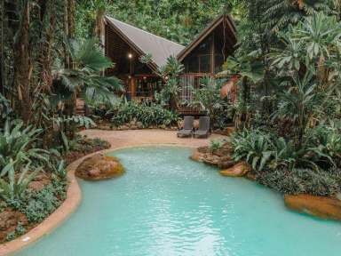 Farm For Sale - QLD - Cape Tribulation - 4873 - Ferntree Rainforest Lodge is in the heart of Cape Tribulation in the Daintree, a UNESCO world heritage site.  (Image 2)