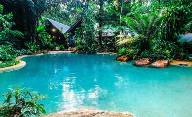 Farm For Sale - QLD - Cape Tribulation - 4873 - Ferntree Rainforest Lodge is in the heart of Cape Tribulation in the Daintree, a UNESCO world heritage site.  (Image 2)