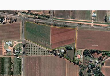 Farm Sold - VIC - Irymple - 3498 - Enormous potential for re-development  (Image 2)