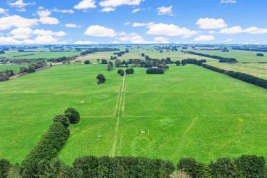 Farm Sold - VIC - Nullawarre - 3268 - “Blue Chip” – Nullawarre - 33km to Warrnambool  (Image 2)