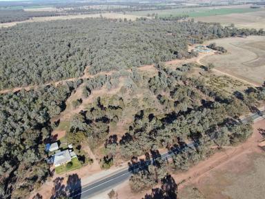 Farm Sold - NSW - Temora - 2666 - TREE CHANGE OPPERTUNITY / WEEKENDER OR SMALL LIVESTOCK ENTERPRISE  (Image 2)