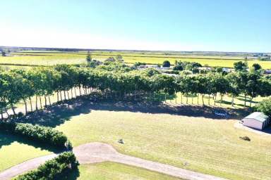 Farm For Sale - QLD - Ayr - 4807 - Acreage Lot with Water Views - Power - Bitumen Rd - Telstra Pit -  (Image 2)