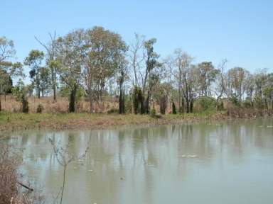 Farm Sold - QLD - Fredericksfield - 4806 - 4.27 Acre Water Frontage Lot - Bitumen Rd Frontage  (Image 2)