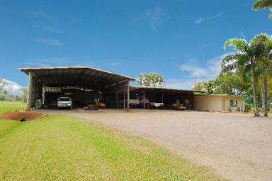 Farm For Sale - QLD - Mount Surround - 4809 - HOME IN THE COUNTRY -- 11 ACRES-- LARGE SHEDS  (Image 2)