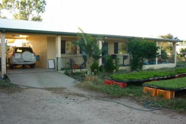 Farm Sold - QLD - Alligator Creek - 4816 - Home in the Country - 5 acres - Large Shed - Irrigation - Cropping  (Image 2)