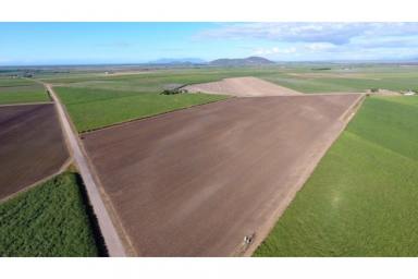 Farm Sold - QLD - Fredericksfield - 4806 - SUGAR CANE / HORTICULTURE - WIWO  - 352Acre  (Image 2)