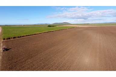 Farm Sold - QLD - Fredericksfield - 4806 - SUGAR CANE / HORTICULTURE - WIWO  - 352Acre  (Image 2)