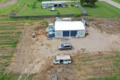 Farm Sold - QLD - Horseshoe Lagoon - 4809 - 8.15 Acre Small Crops Property - Living Qtrs - Bore  (Image 2)