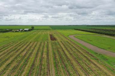 Farm Sold - QLD - Horseshoe Lagoon - 4809 - 8.15 Acre Small Crops Property - Living Qtrs - Bore  (Image 2)